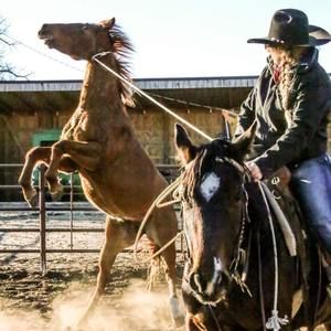 Meet your Posher, Kody